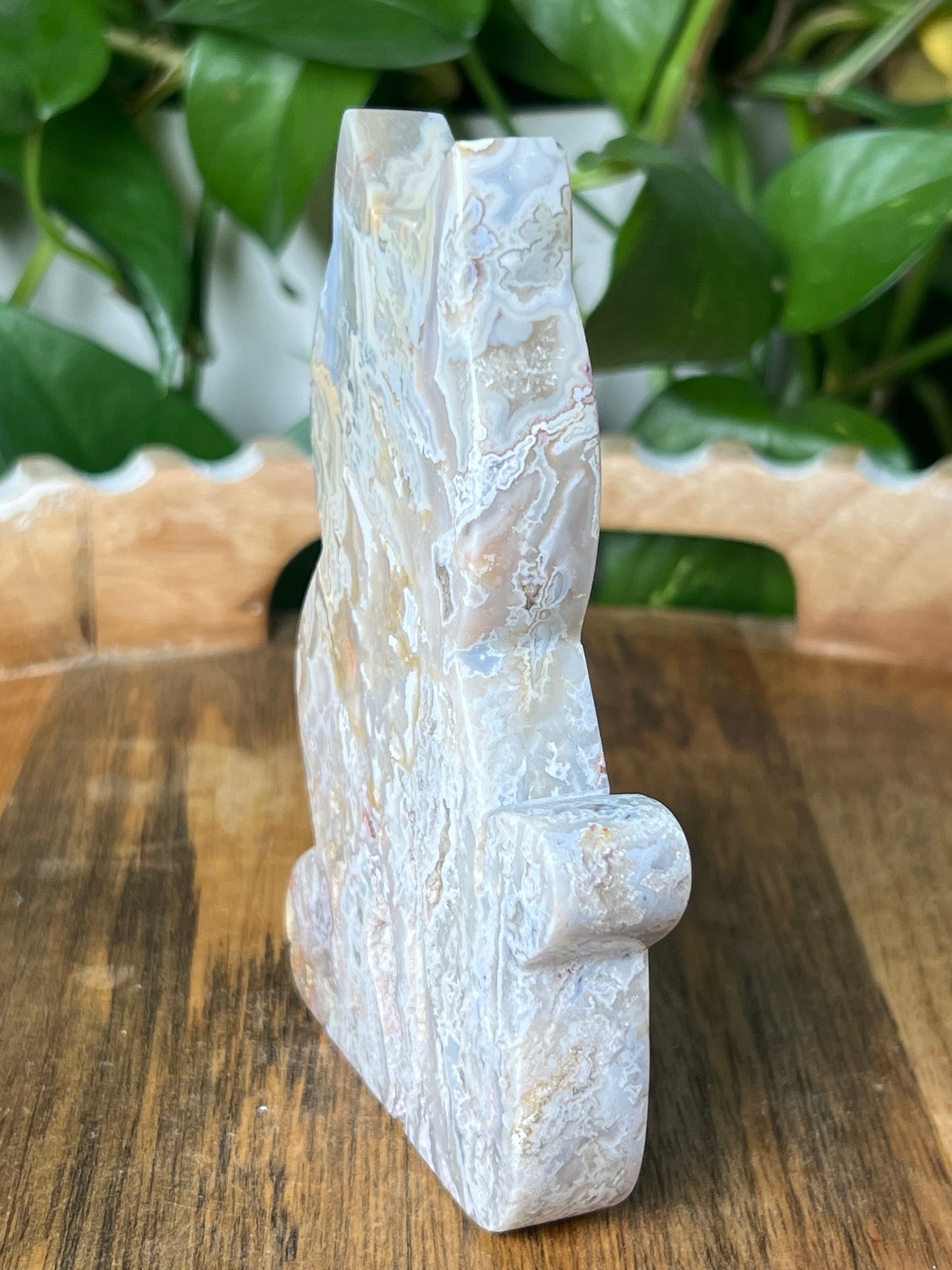 Sumatra Plume Agate Cat