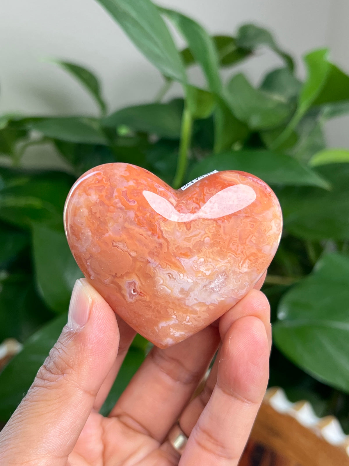 Carnelian Heart: MD