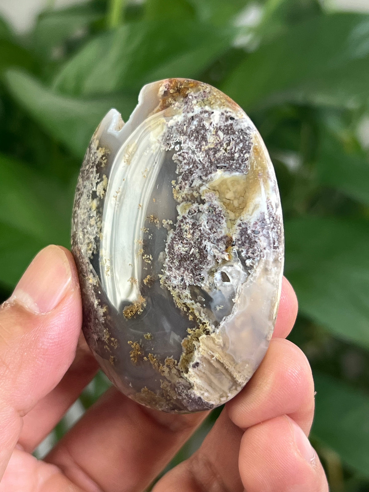 Scenic Moss Agate Palmstone: CH