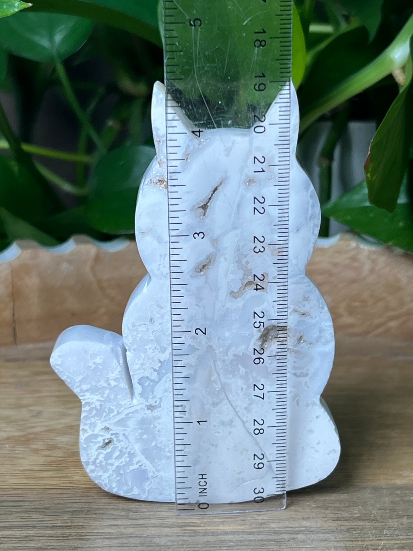 White Plume Agate Cat