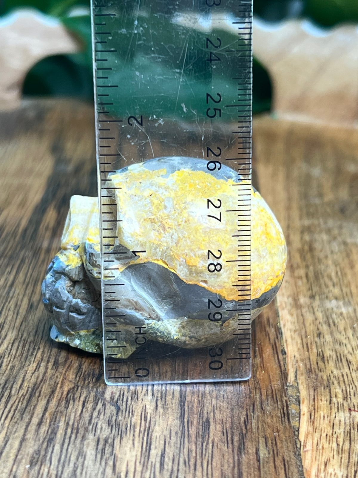 Bumblebee Jasper Mini Skull: E