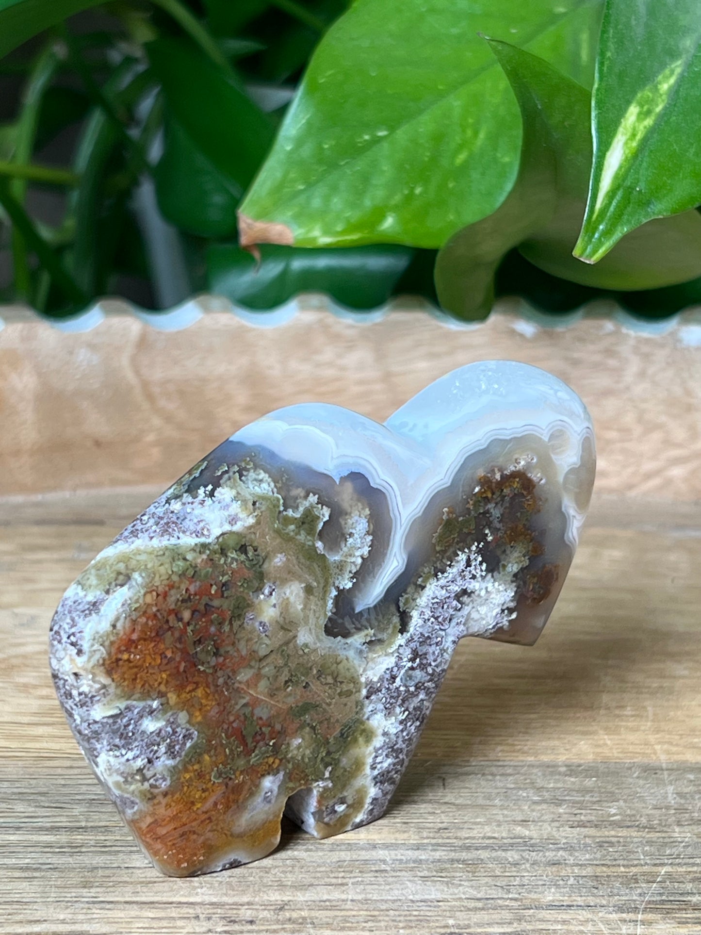 Scenic Moss Agate Buffalo