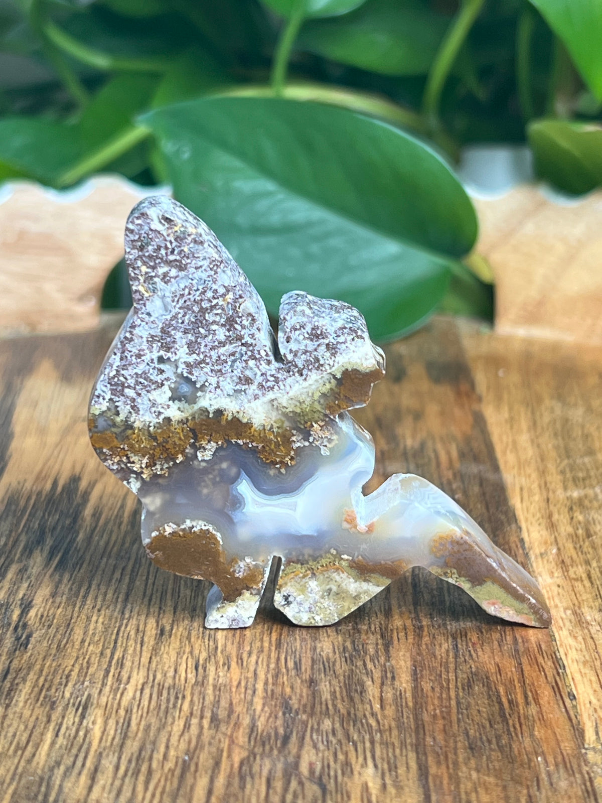 Scenic Moss Agate Pixie Fairy: C