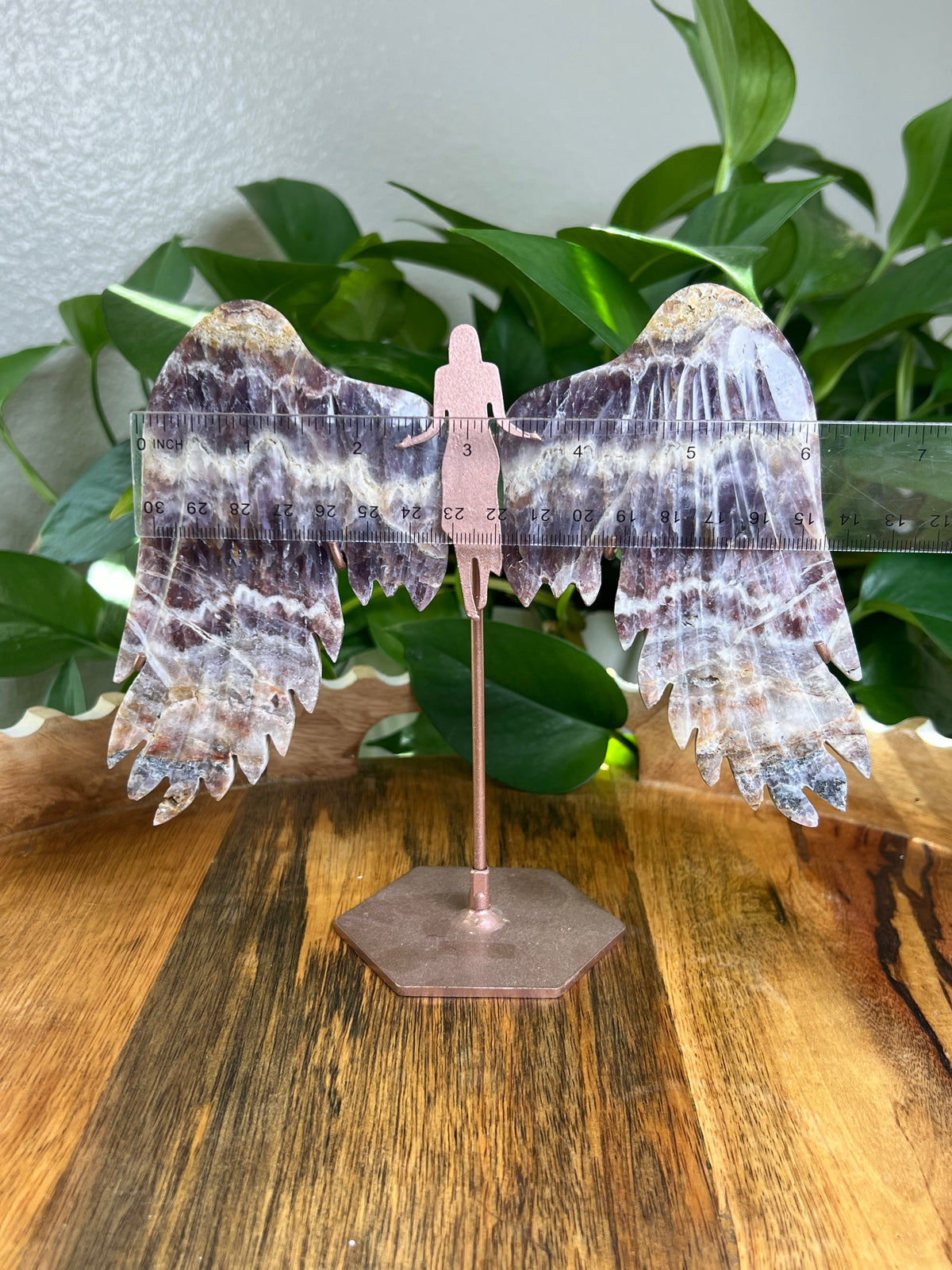 Indonesian Amethyst Wings: SE