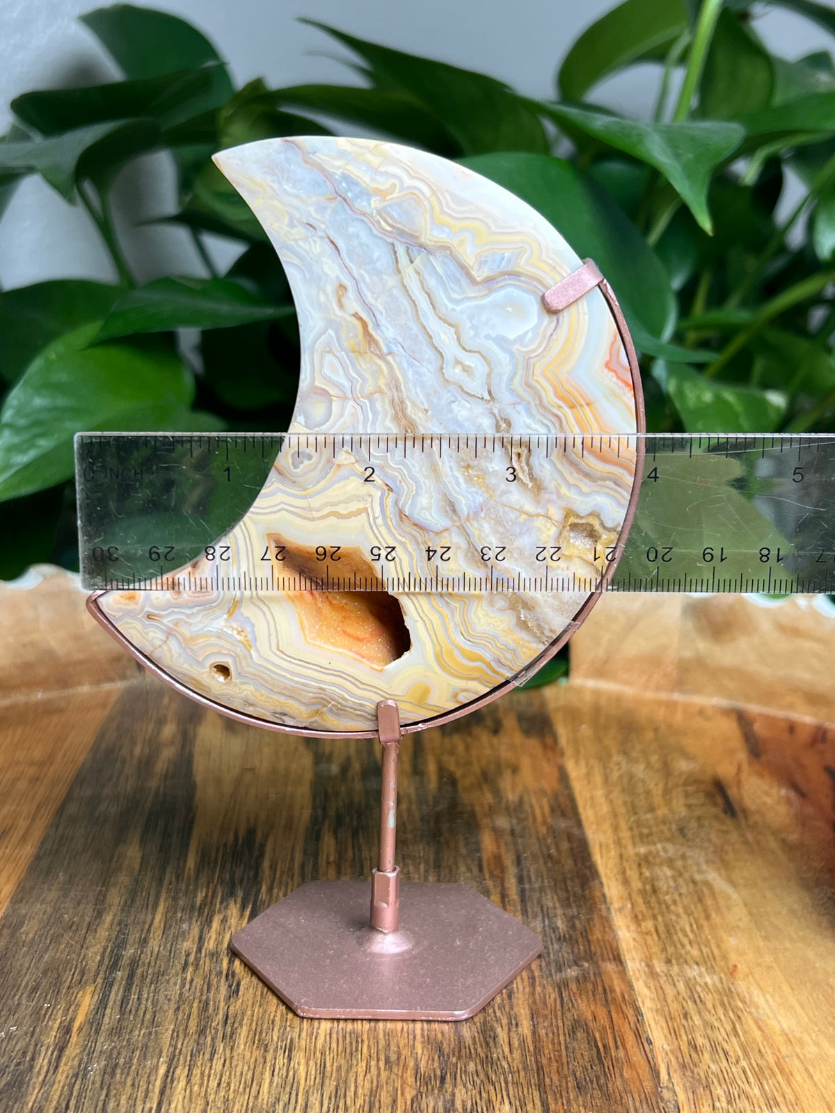 Yellow Crazy Lace Agate Moon: ZA
