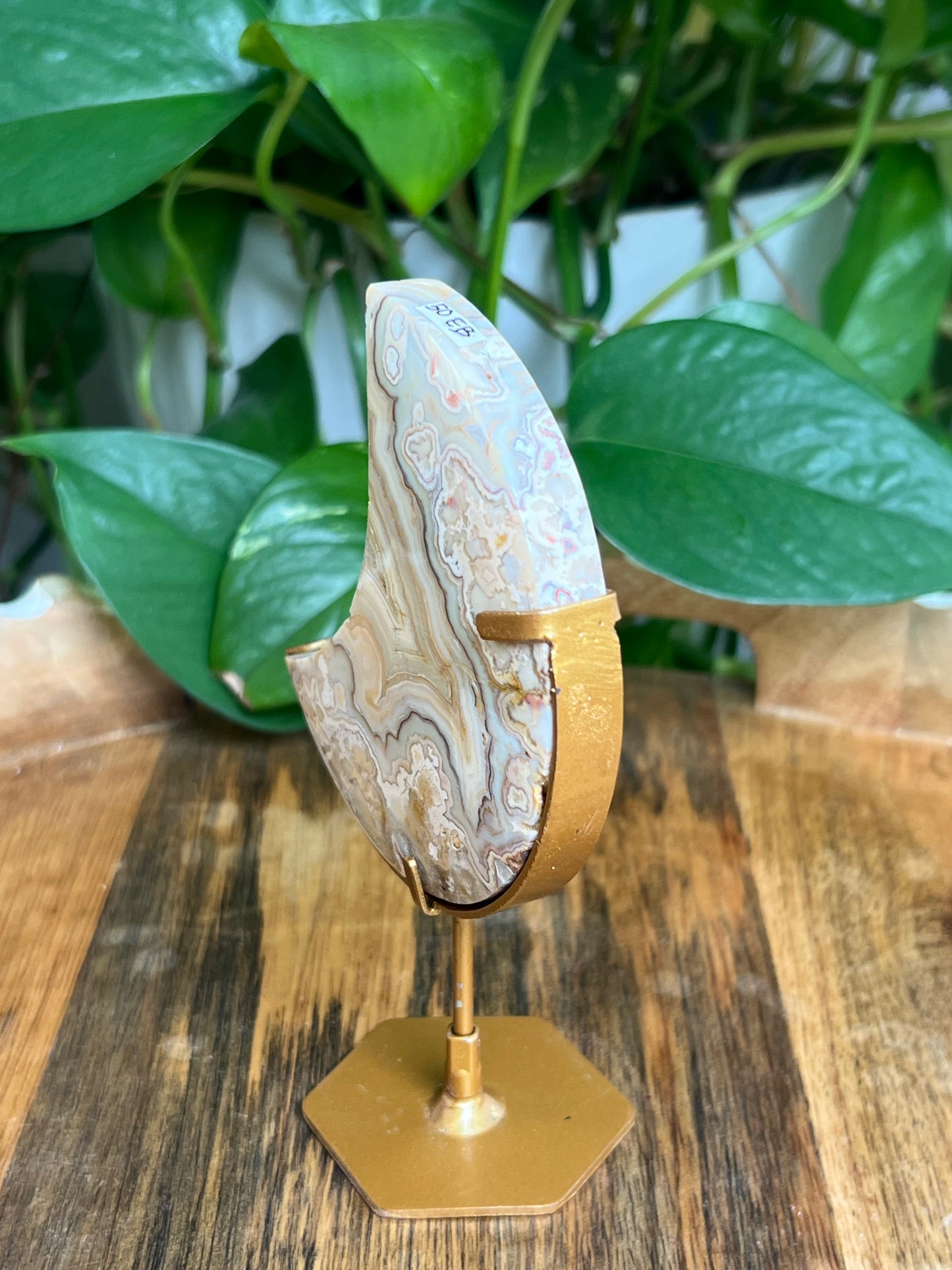 Yellow Crazy Lace Agate Moon: EB