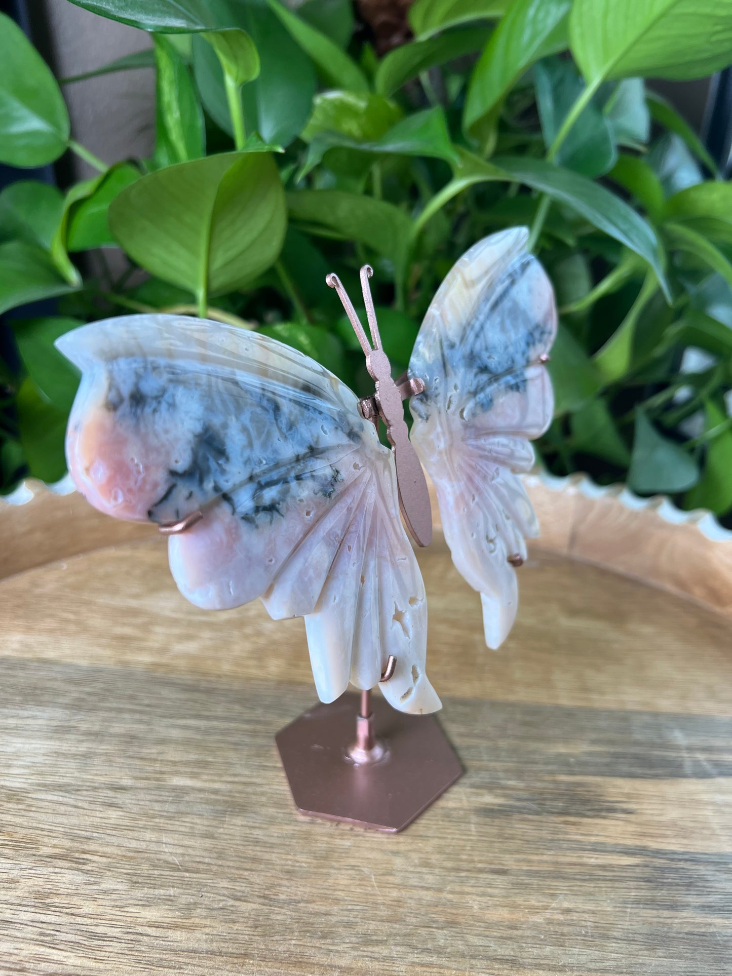 Rainbow Plume Agate Wings