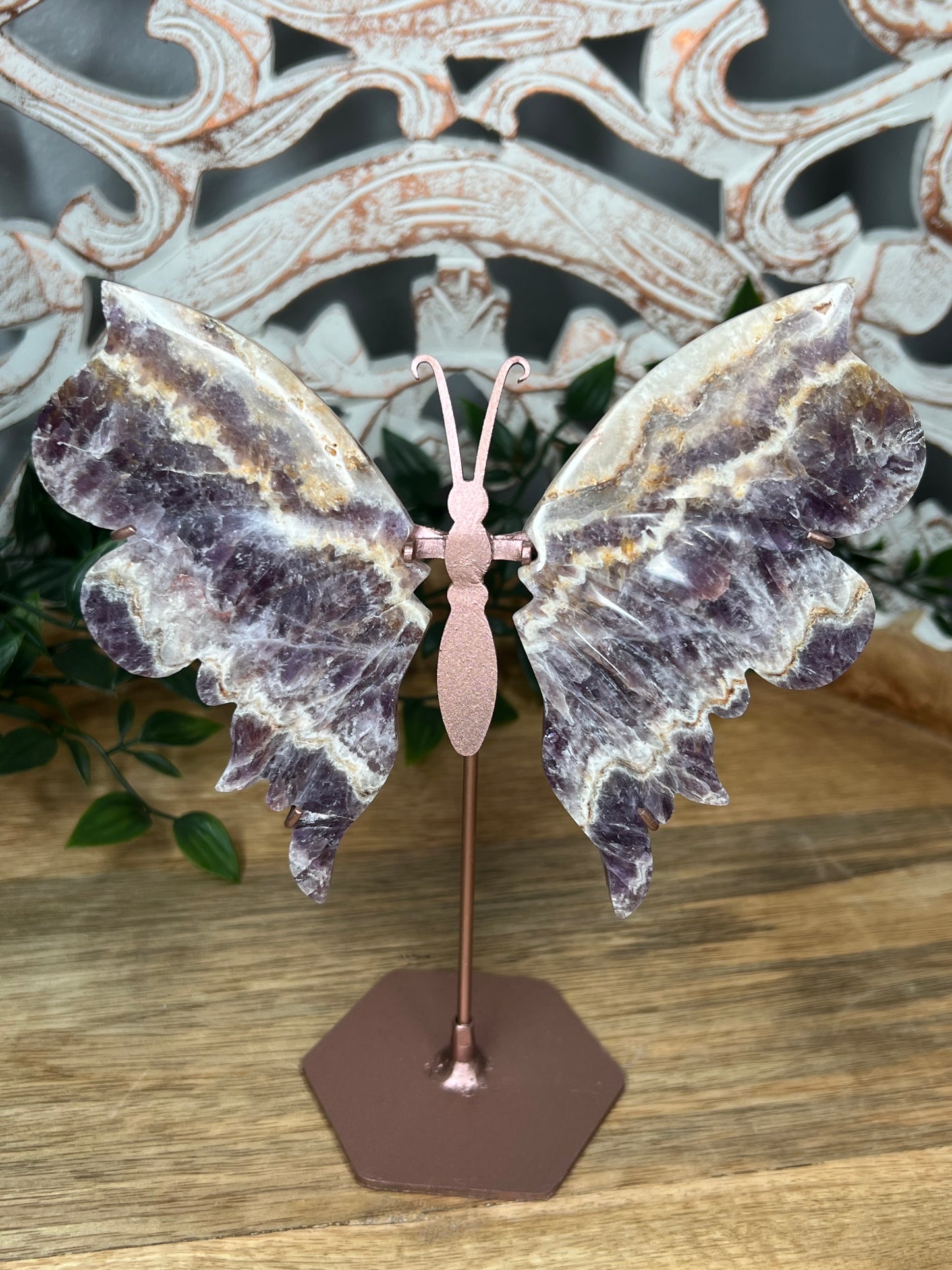 Indonesian Amethyst Wings