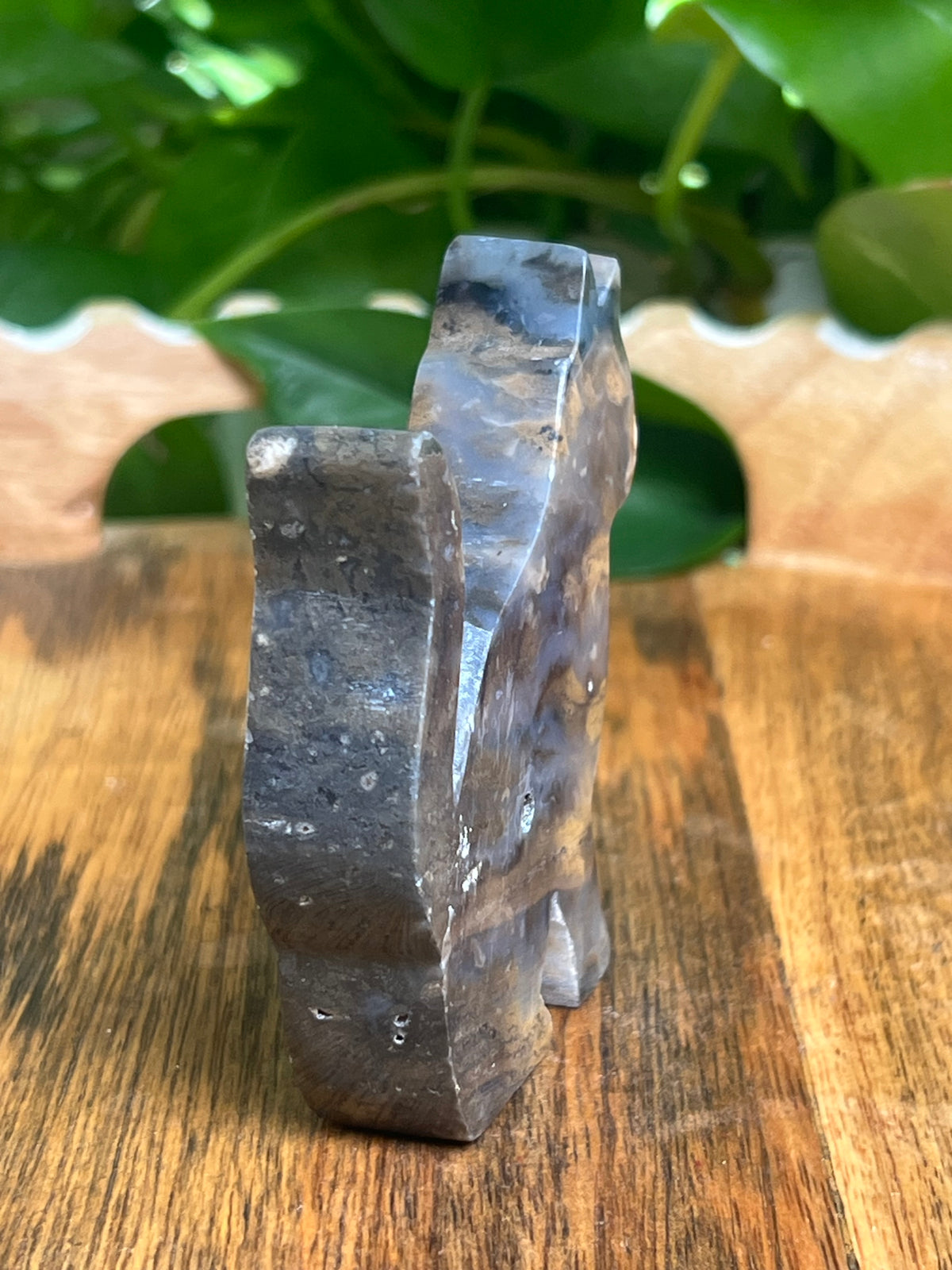 Dendritic Tiger Agate Cat: QB