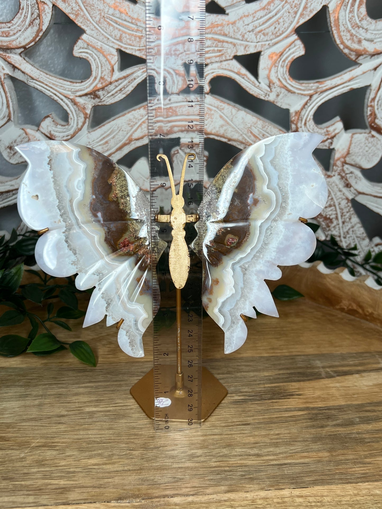 Scenic Moss Agate Wings