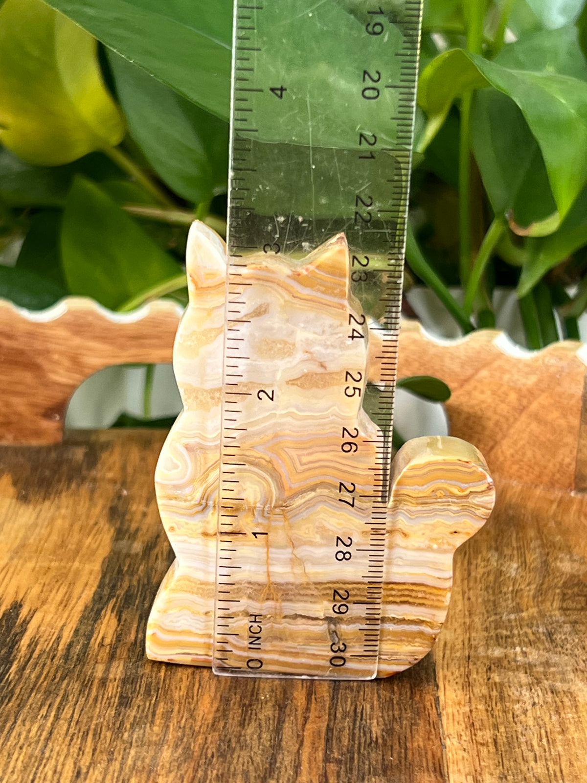 Crazy Lace Agate Cats