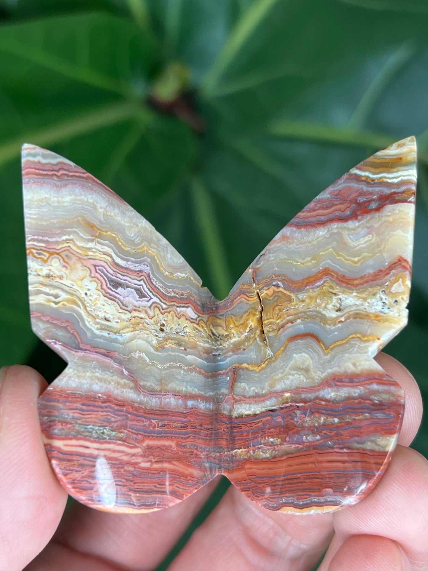 3D Butterfly Crazy Lace Agate