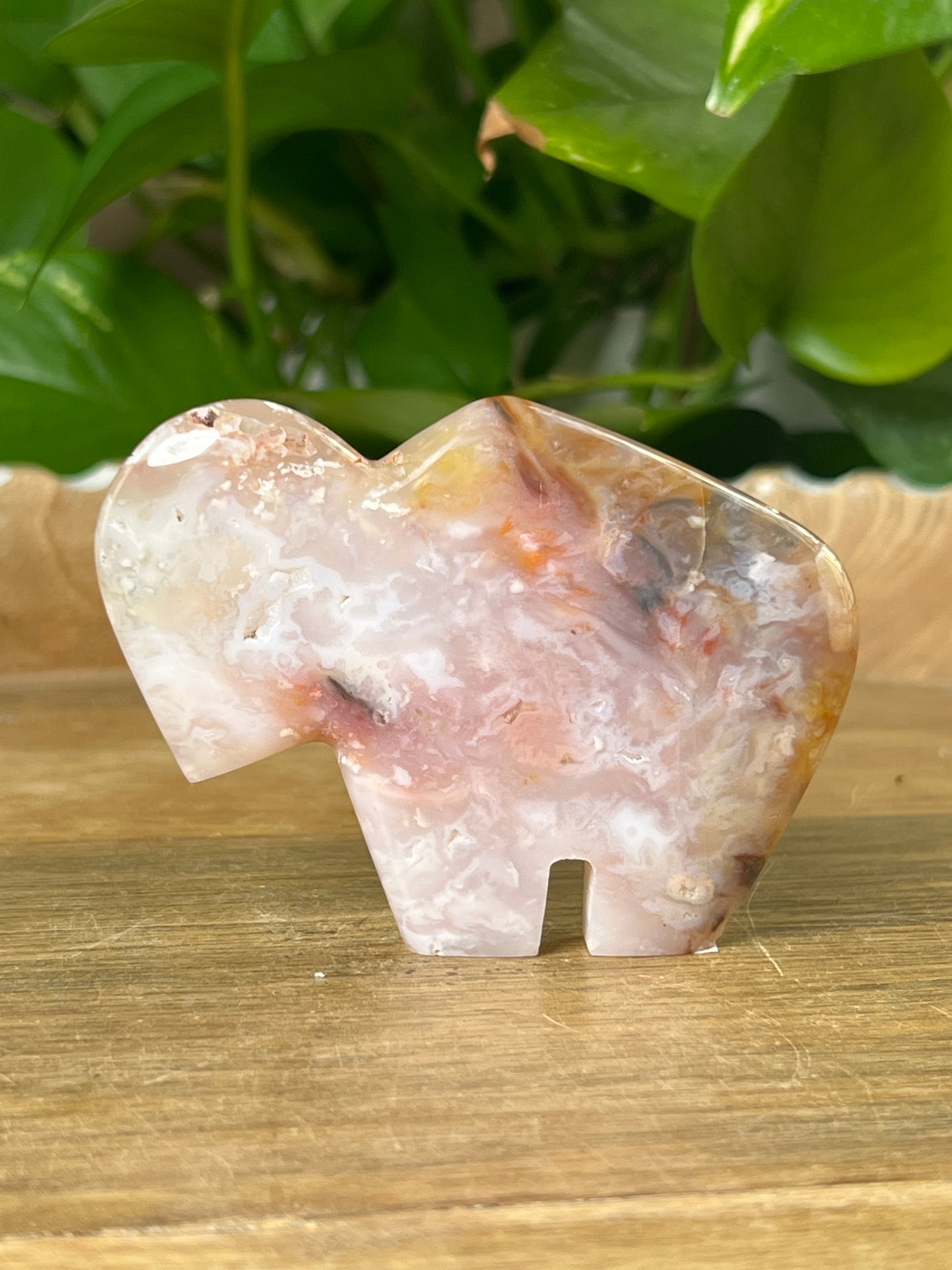 Rainbow Plume Agate Buffalo