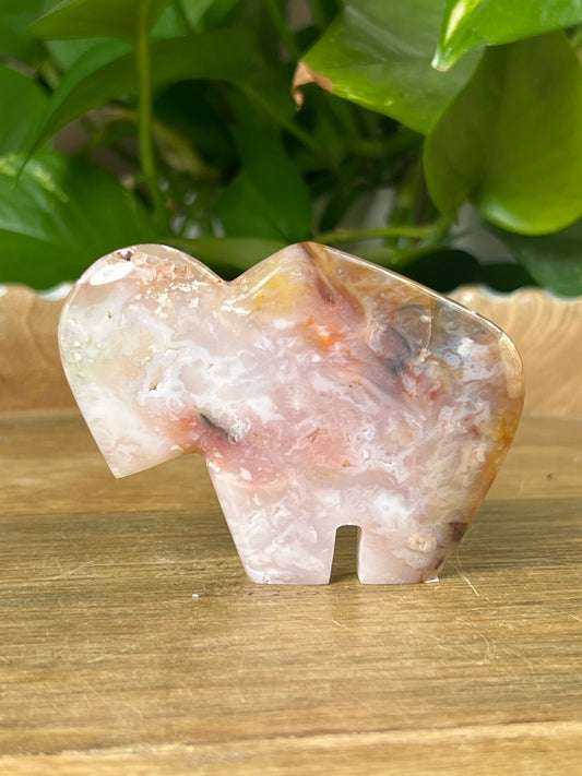 Rainbow Plume Agate Buffalo