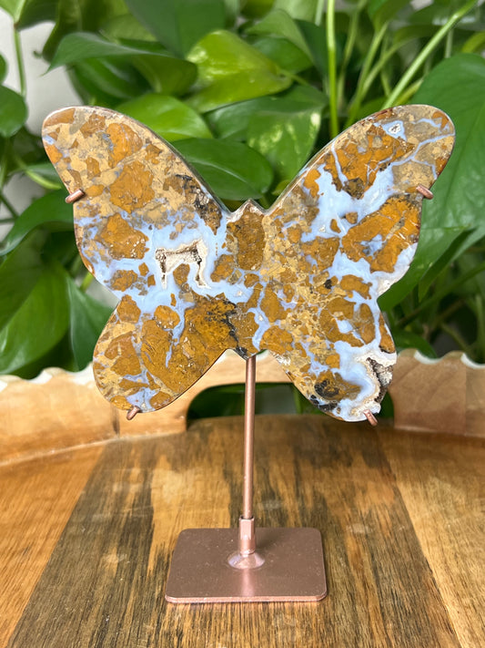 Brecciated Jasper Butterfly