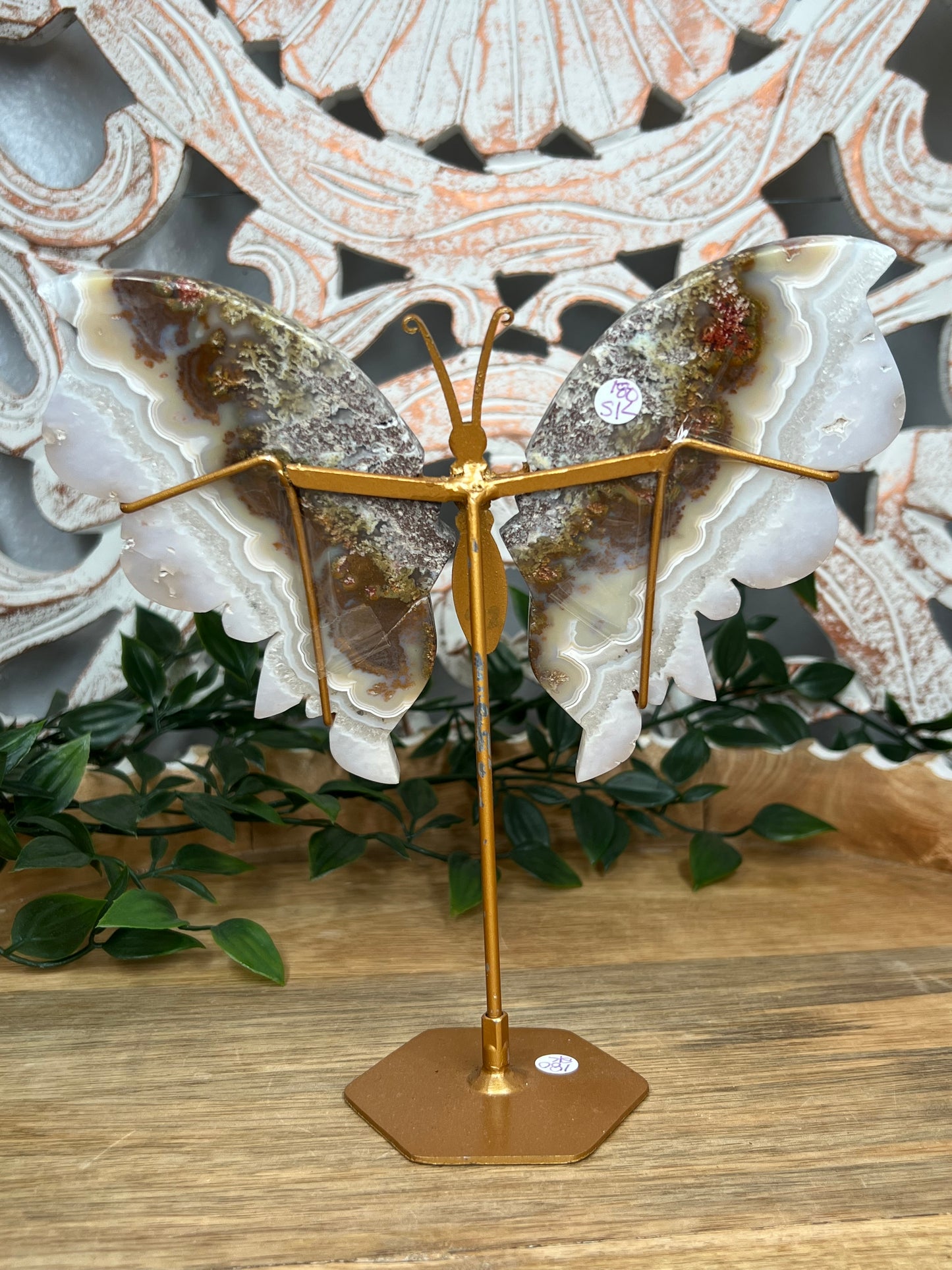 Scenic Moss Agate Wings