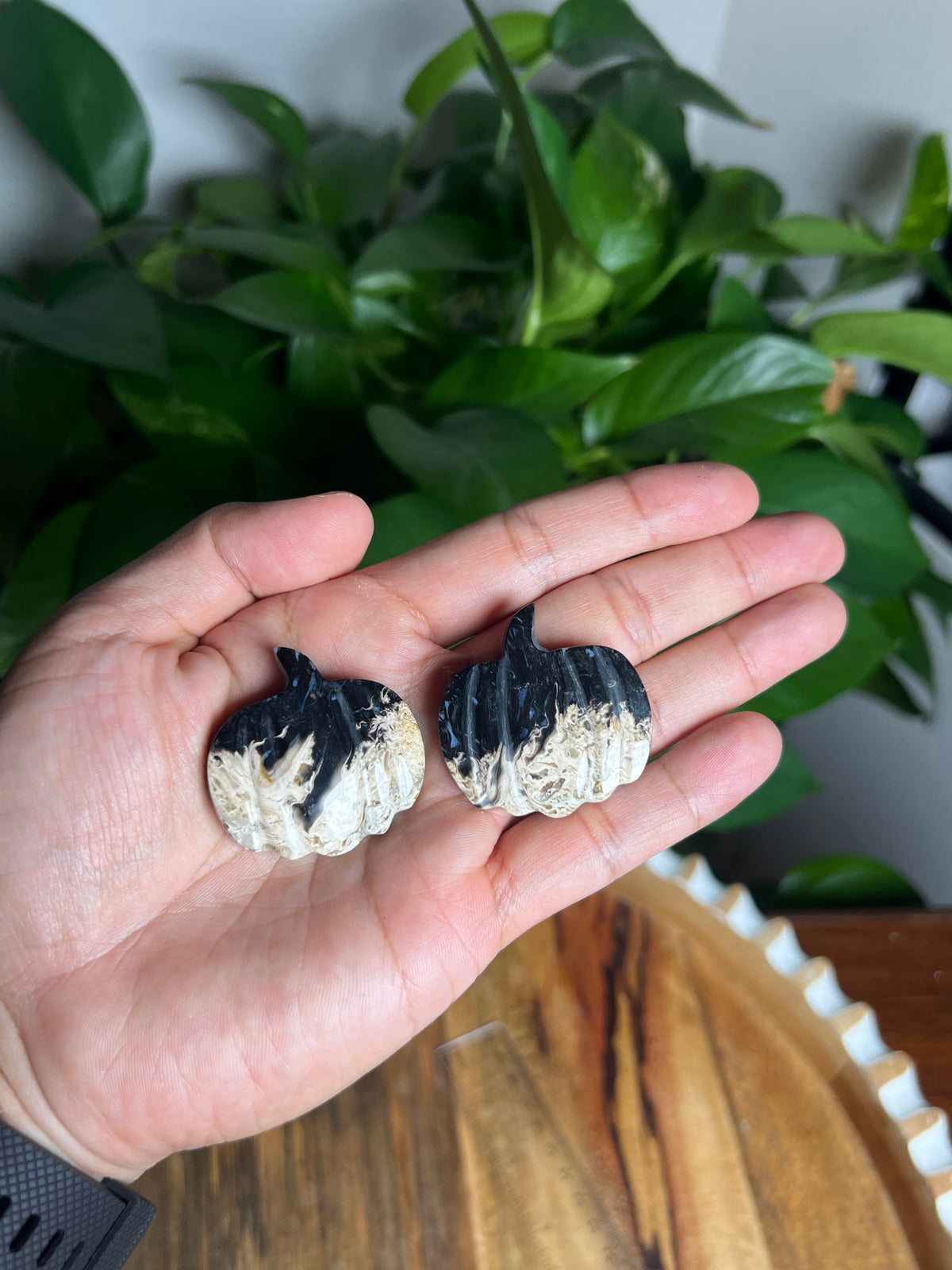 Palm Root Mini Pumpkin