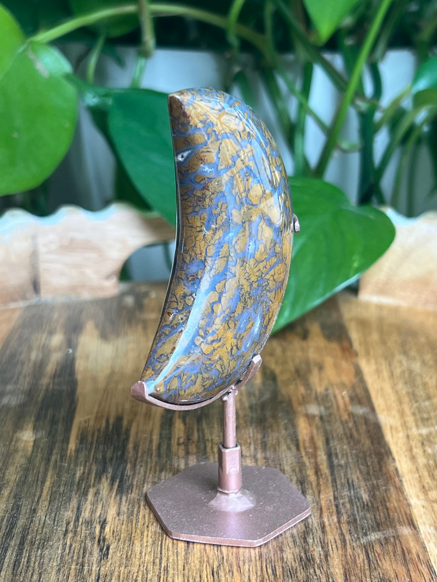 Brecciated Jasper Moon: BX