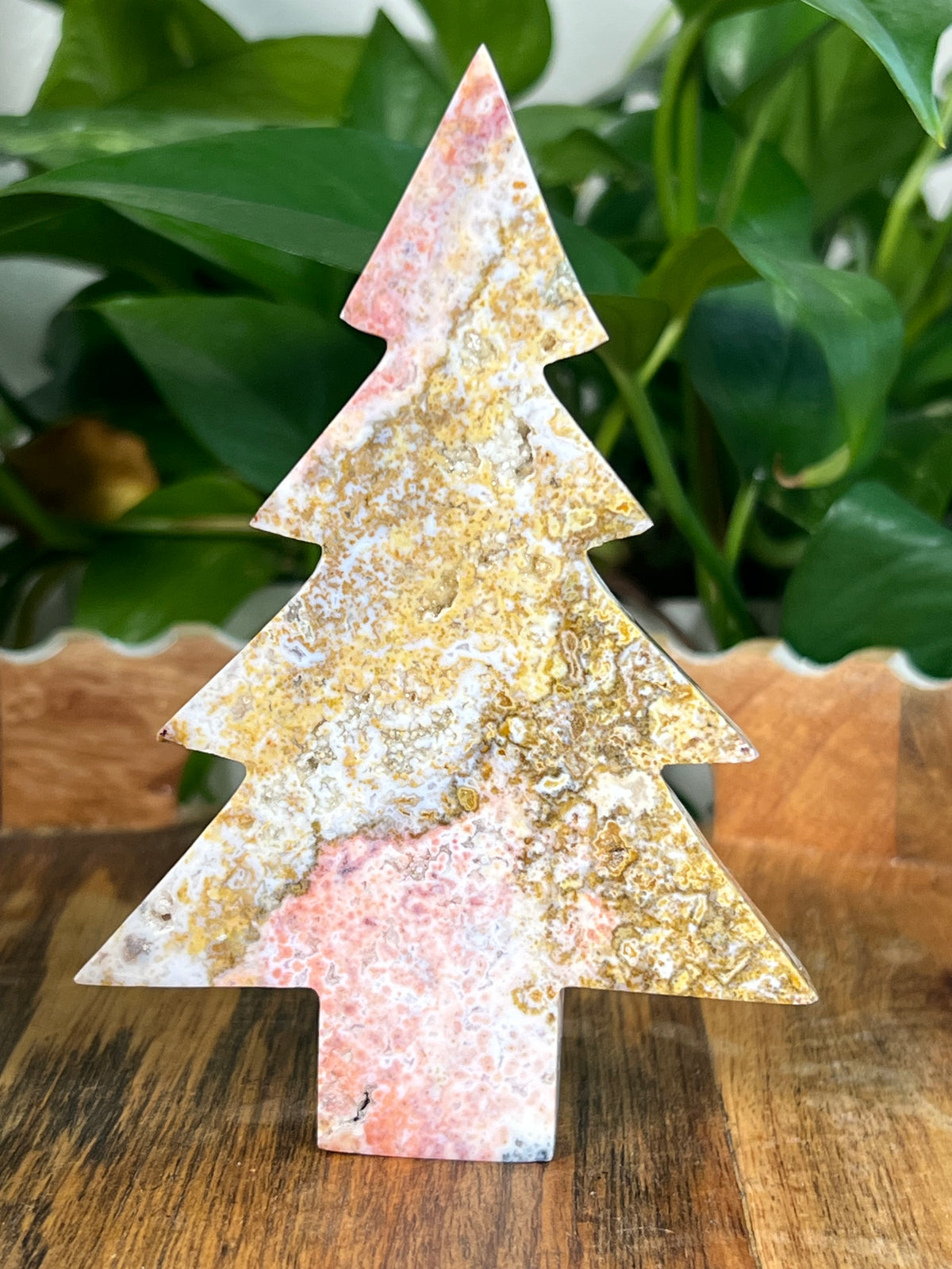 Sea Jasper Tree: AB
