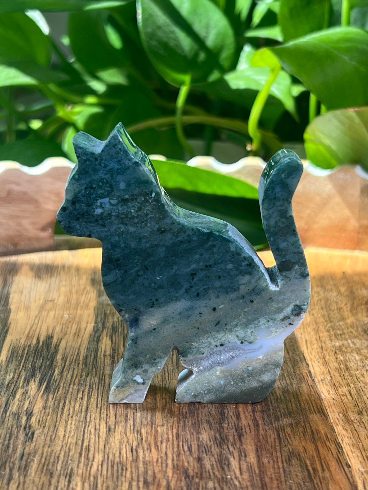 Blue Green Jasper Cat: CE