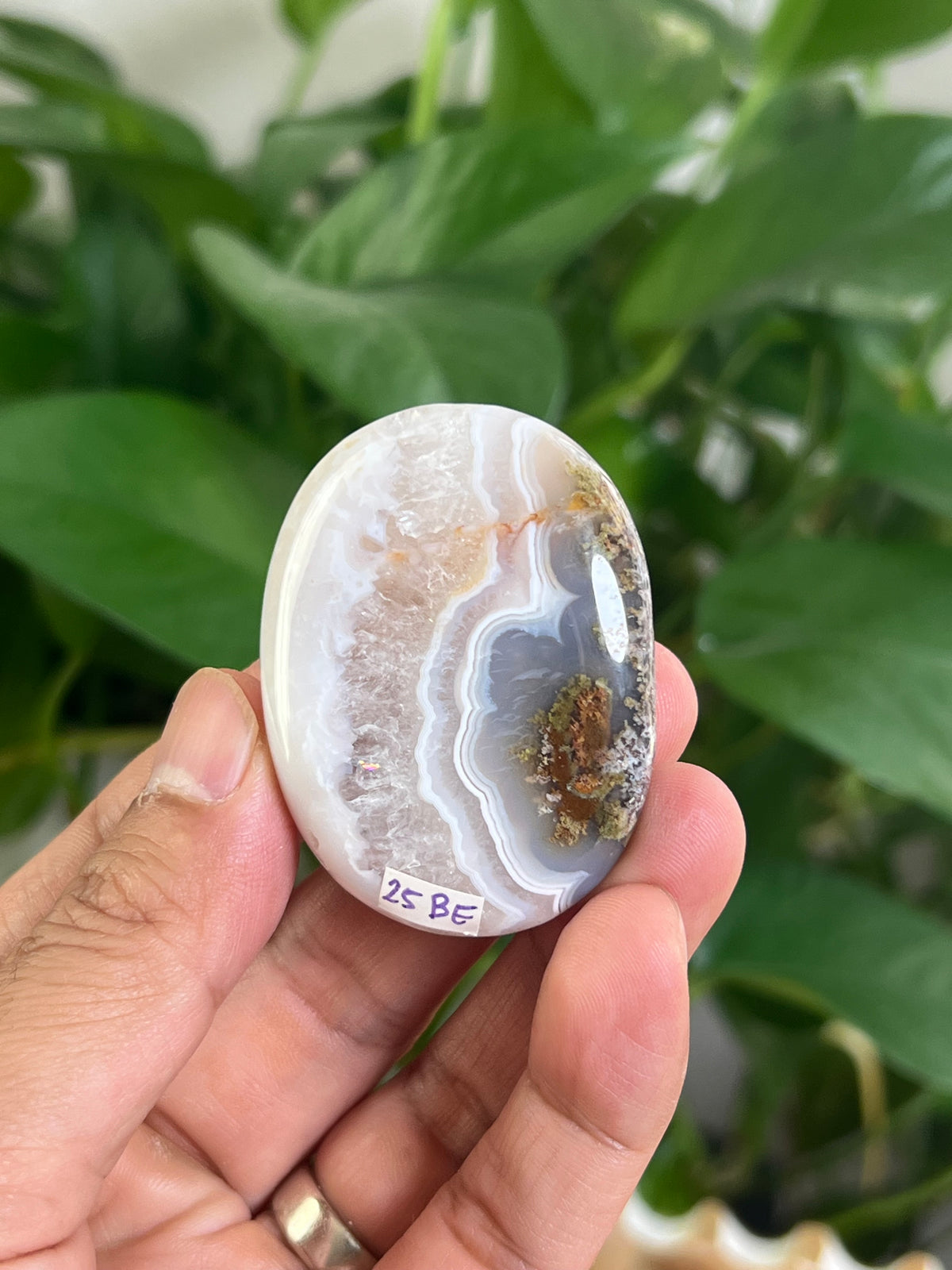 Scenic Moss Agate Palmstone: BE