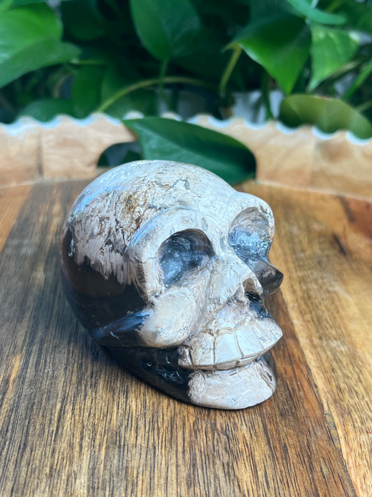Palm Root Skull: ZL