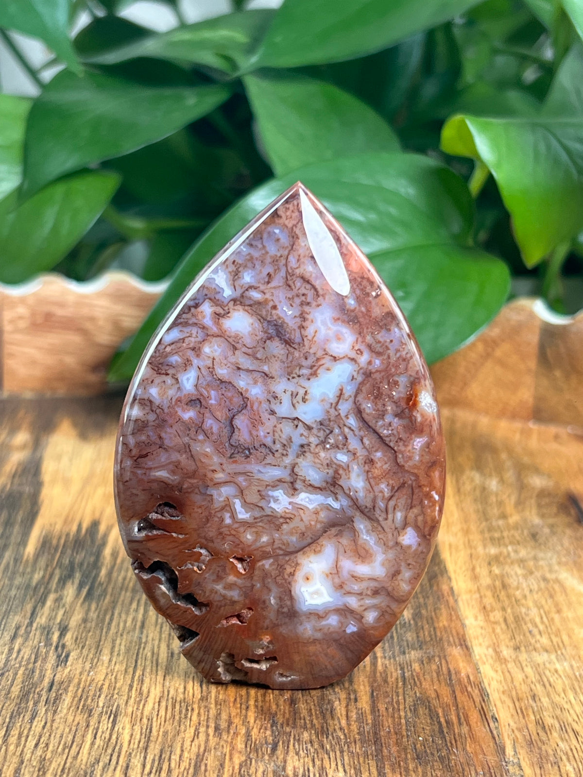 Sumatra Plume Agate Flame: BK