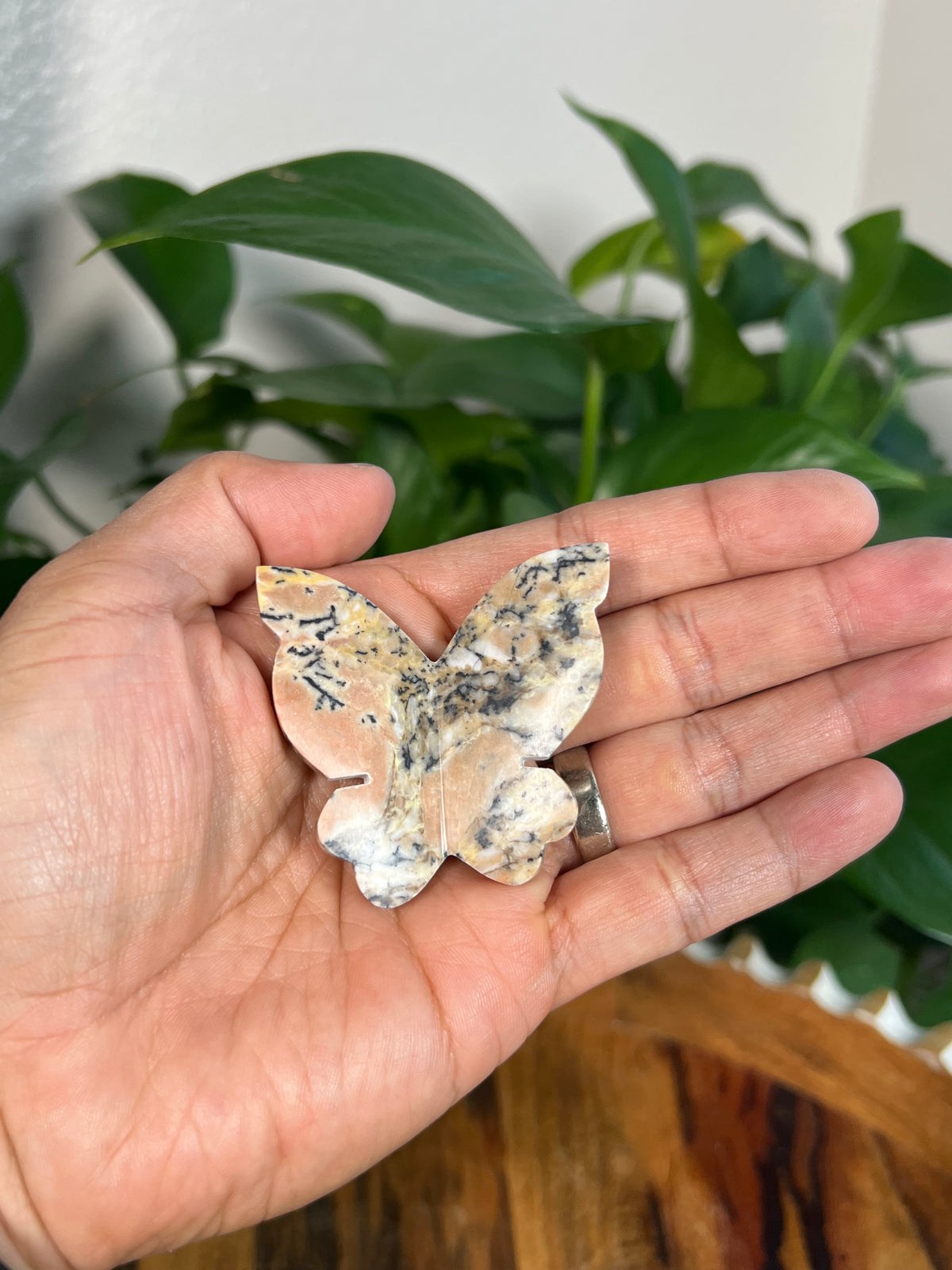 Peachy Pink Dendritic Jasper 3D Butterflies