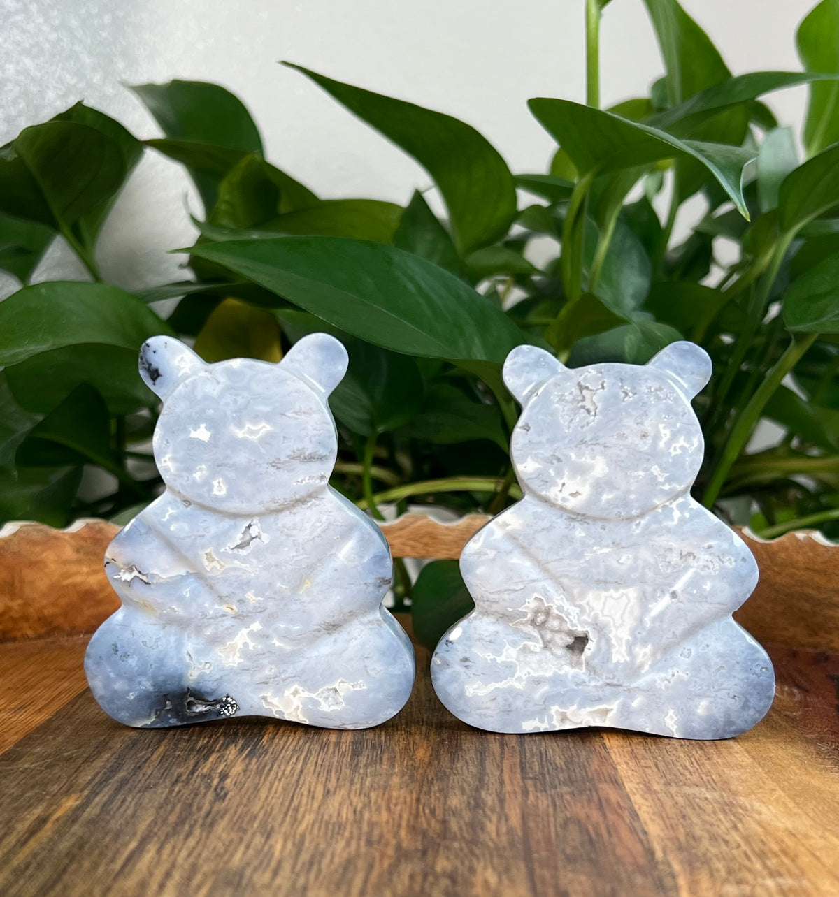 Blue Plume Agate Bears