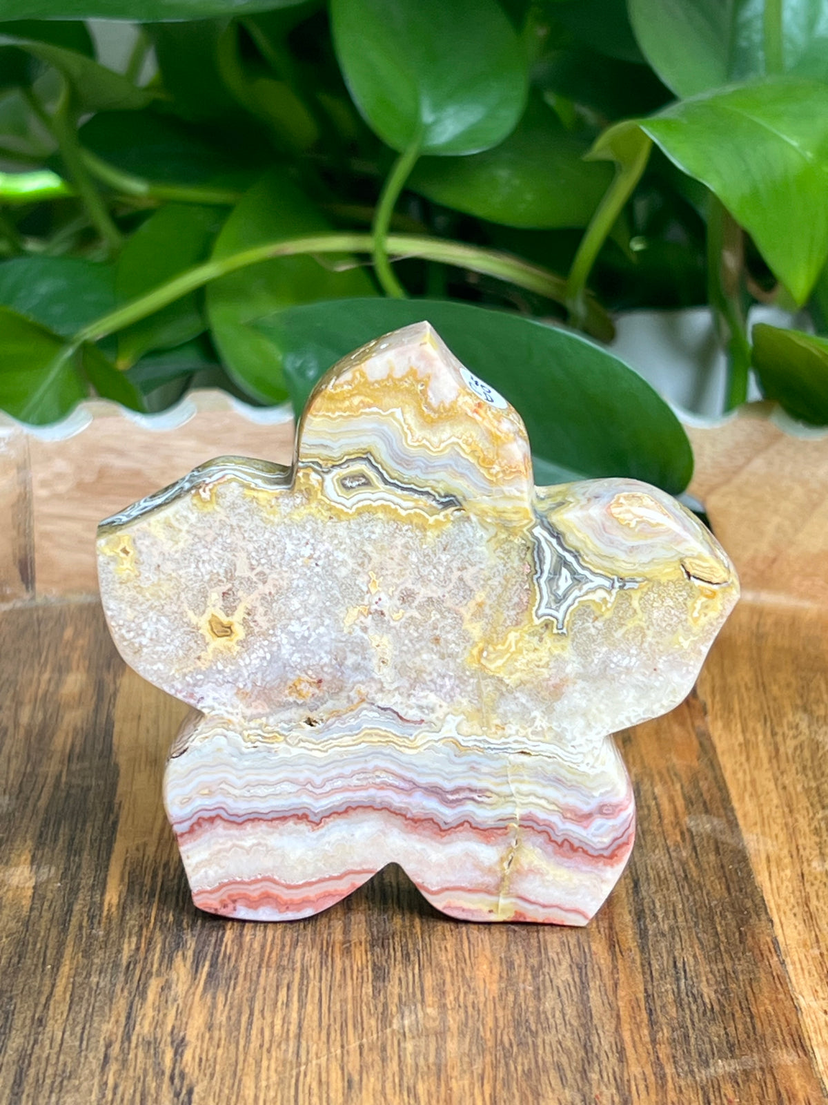 Crazy Lace Agate Flower: CD