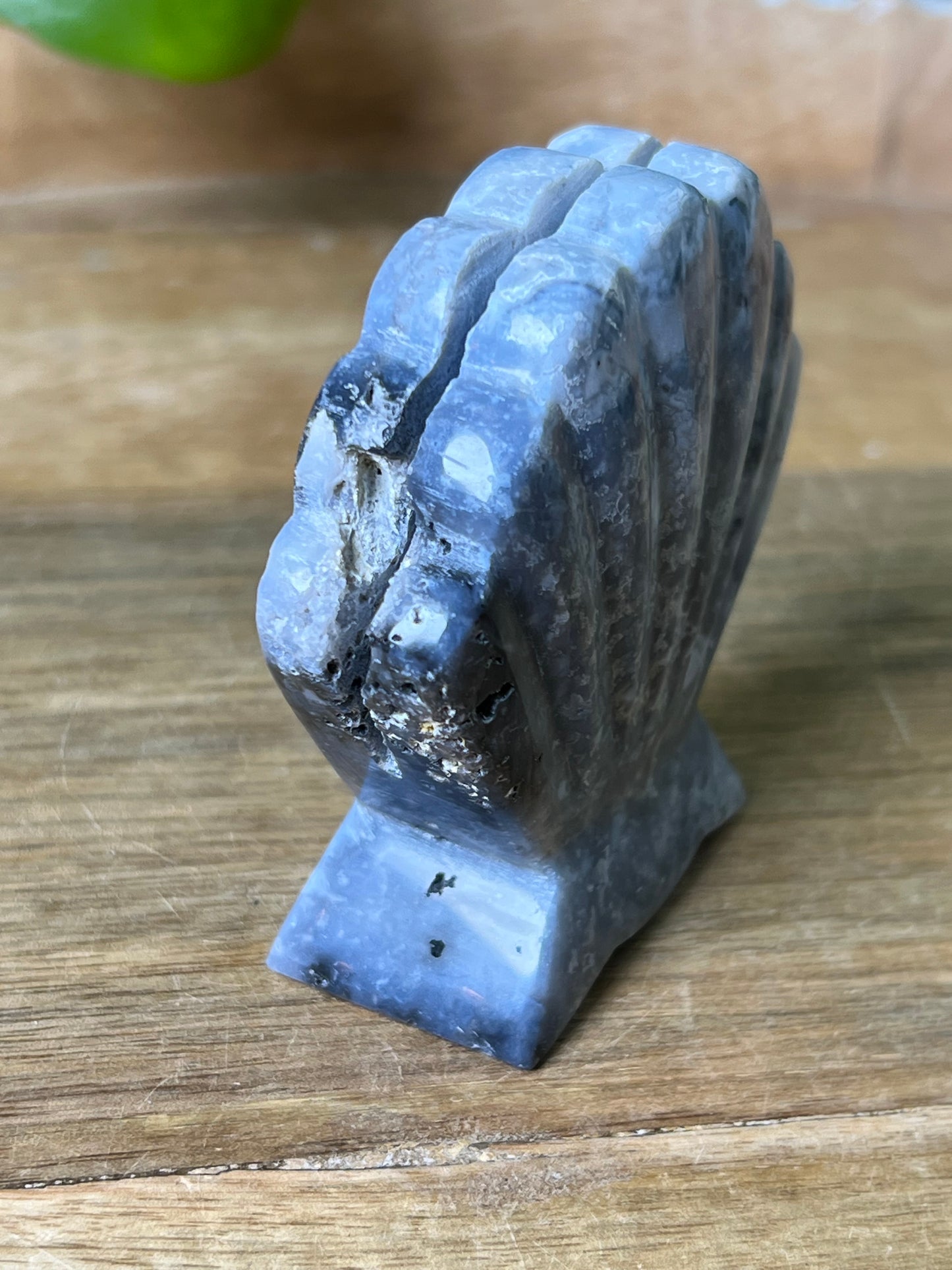 Blue Plume Agate Shell