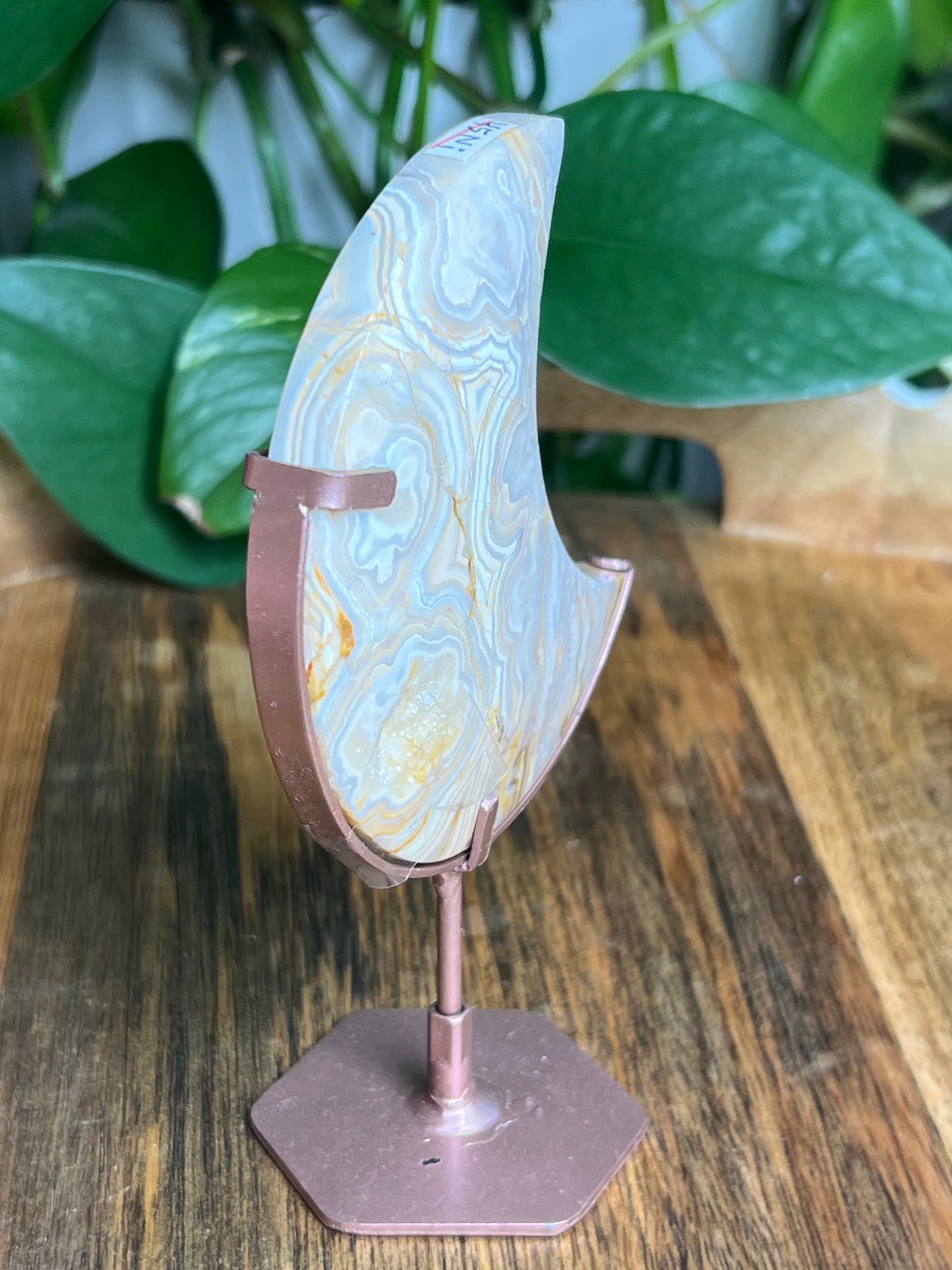 Yellow Crazy Lace Agate Moon: Ni