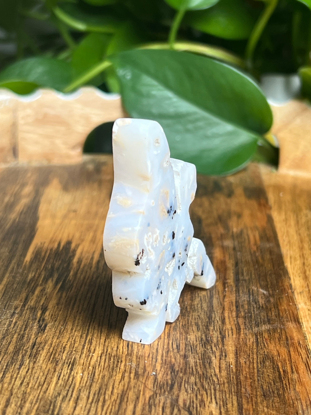 Dendritic Tiger Agate Fairy: AA