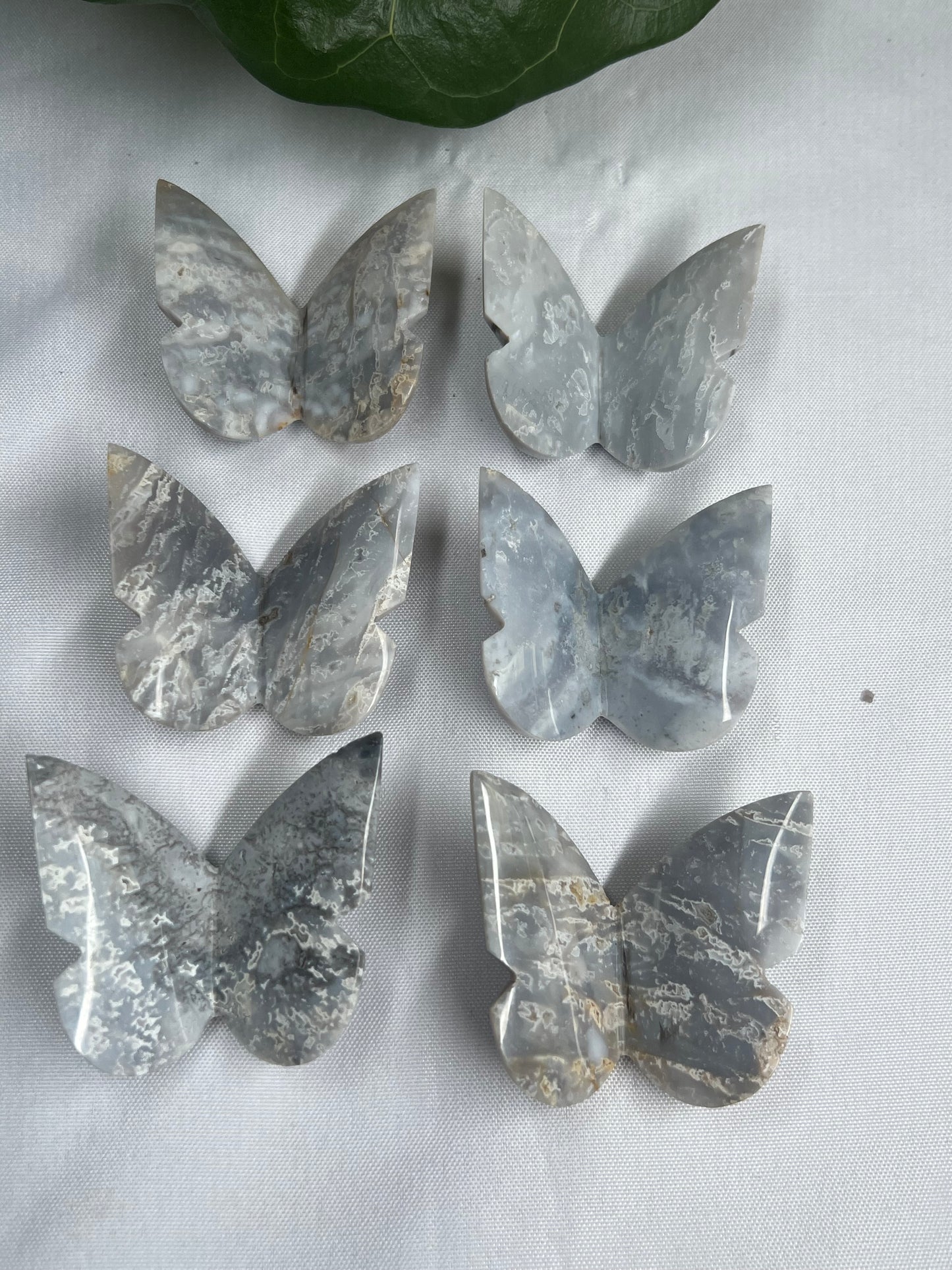 6pcs Grey Blue Plume Agate 3D butterfly