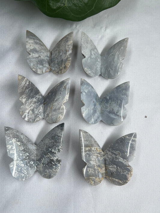 6pcs Grey Blue Plume Agate 3D butterfly