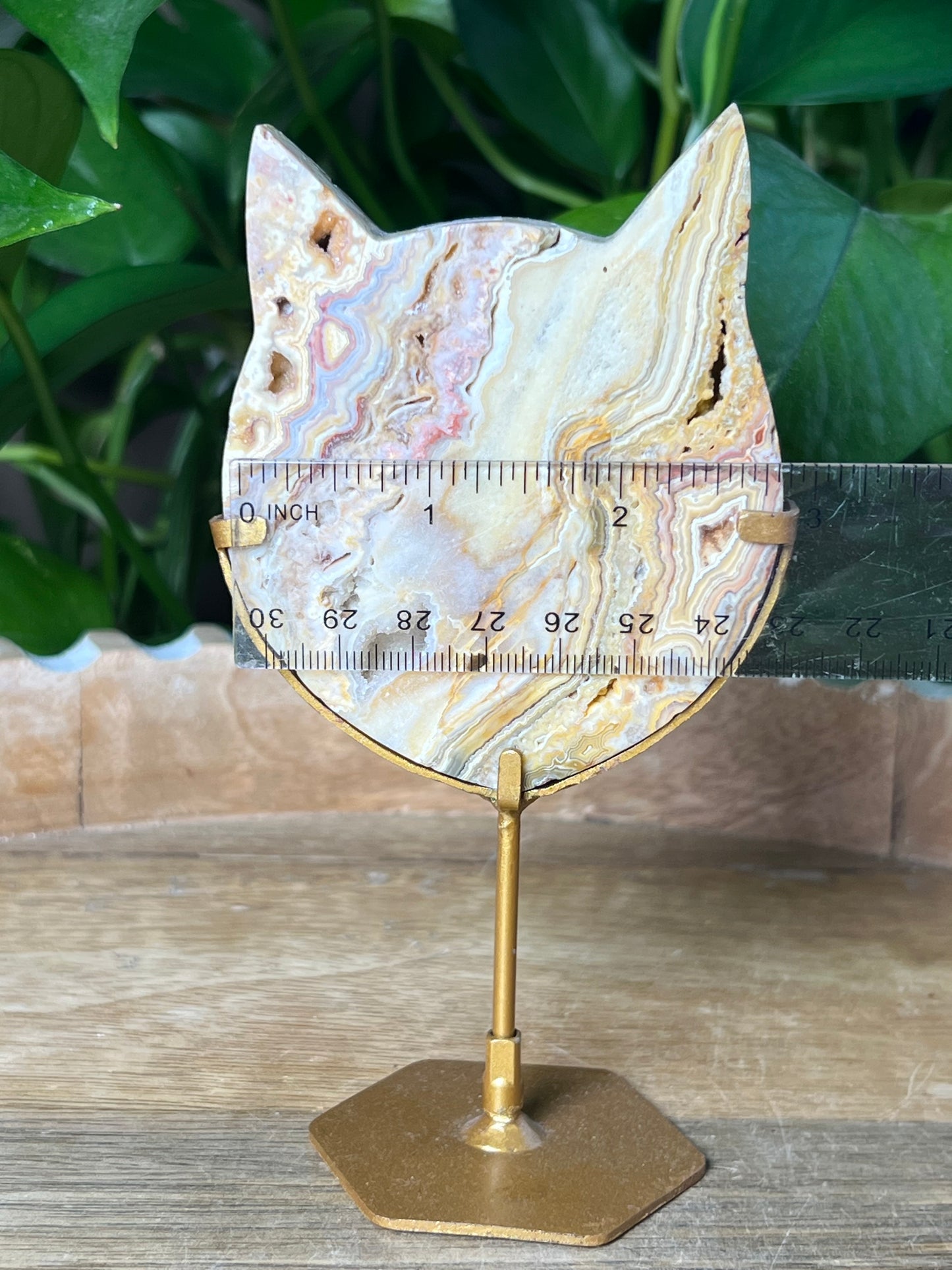 Crazy Lace Agate Cat Head
