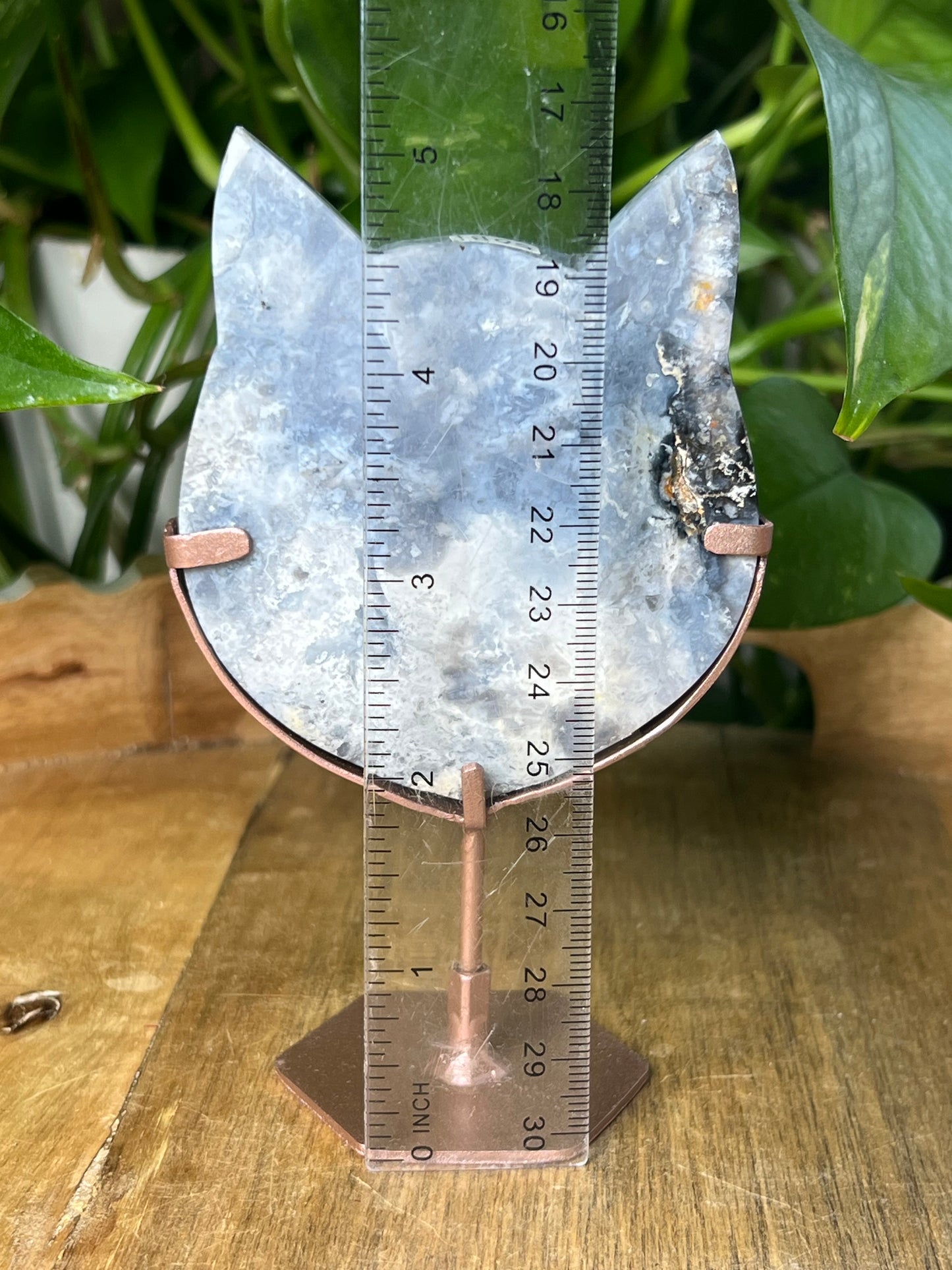 Blue Plume Agate Cat