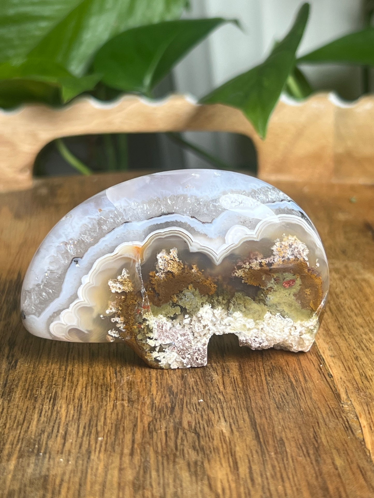 Scenic Moss Agate Bear BG