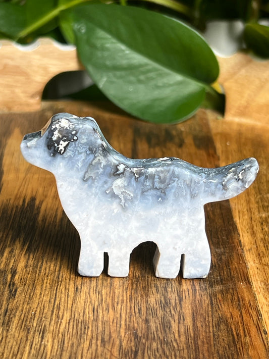 Blue Plume Agate Dog: BA