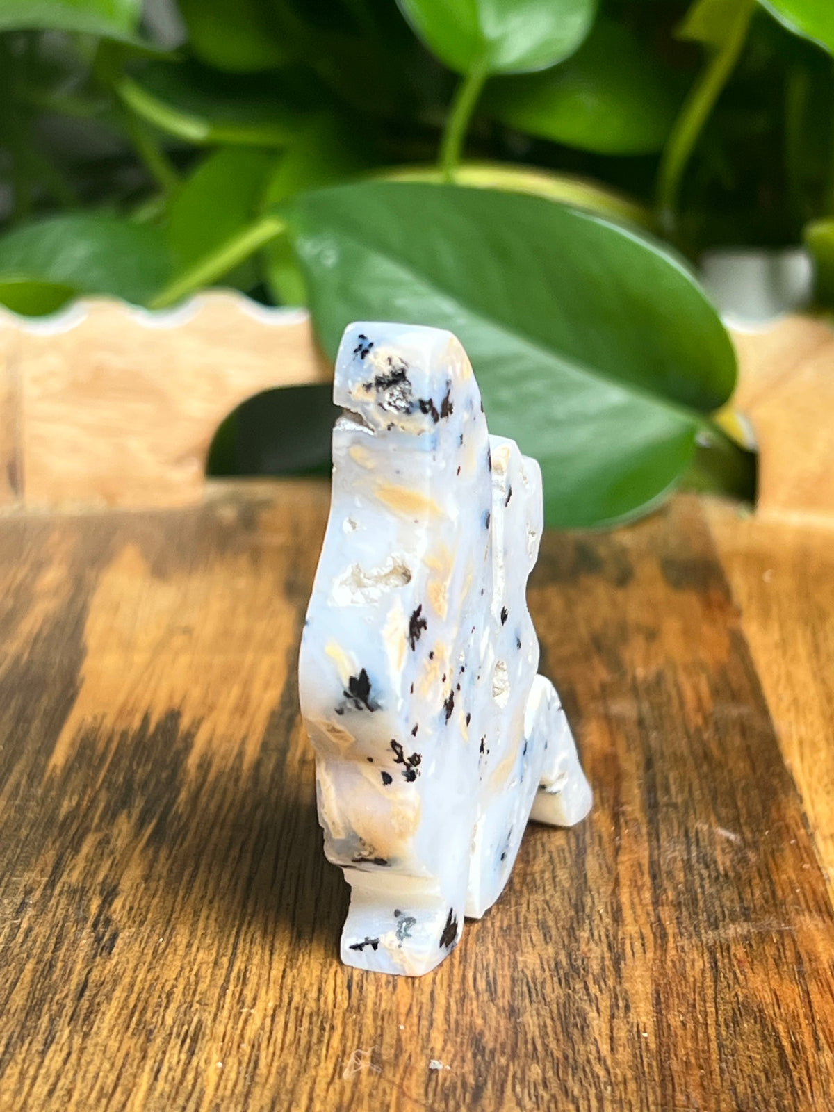 Dendritic Tiger Agate Fairy: AB