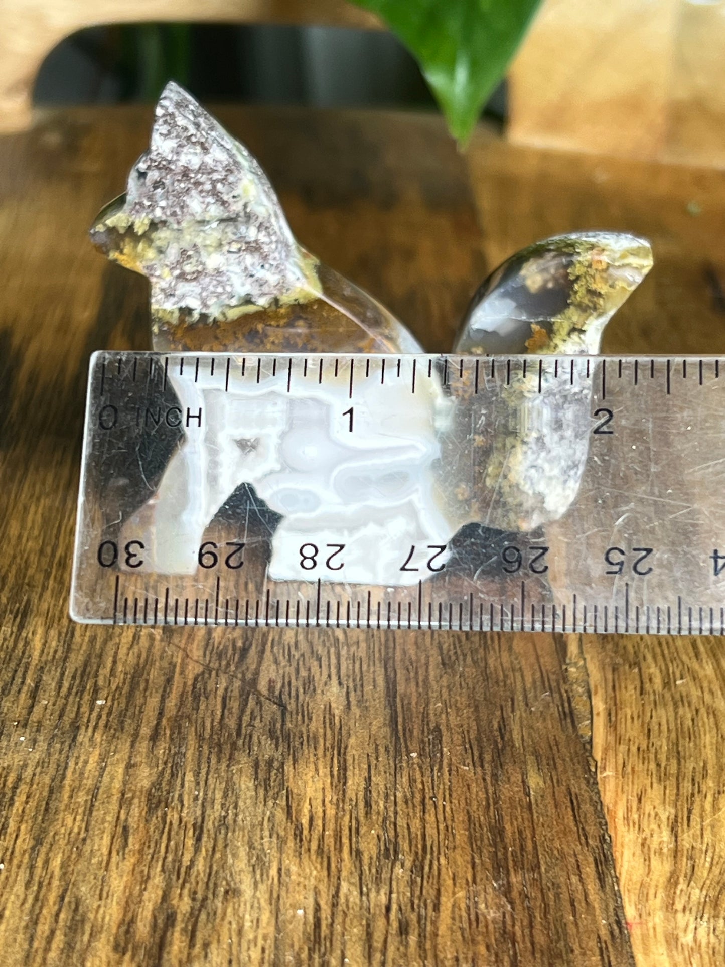 Scenic Moss Agate Fox PX