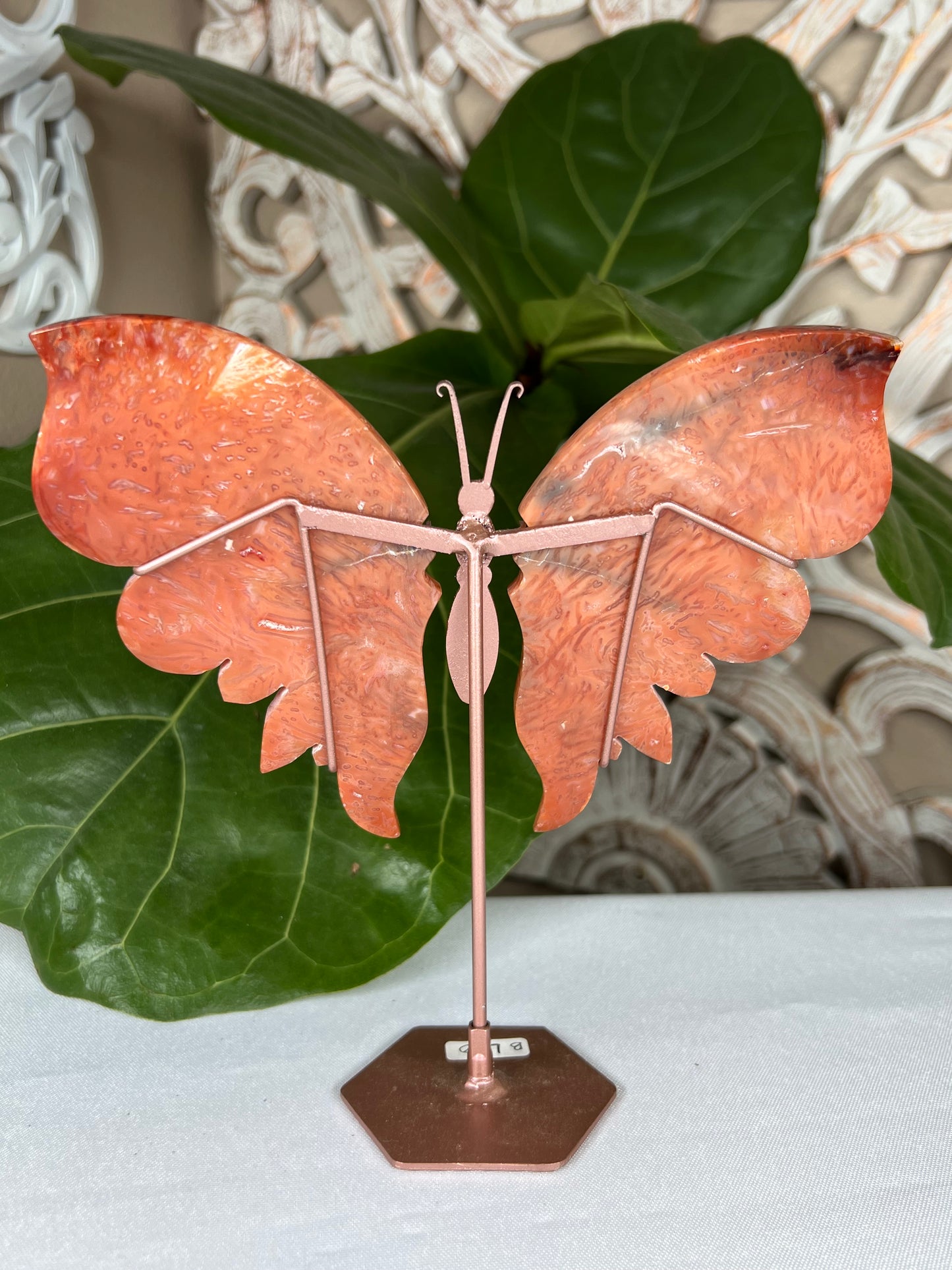 Carnelian Wings