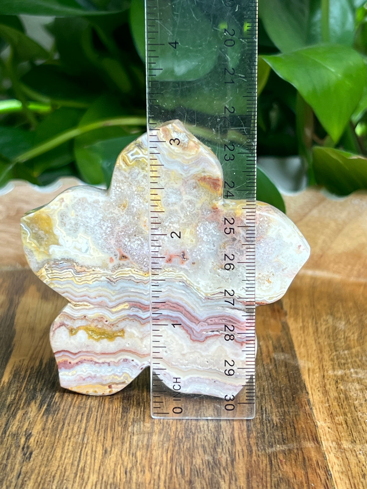 Crazy Lace Agate Flower: CA