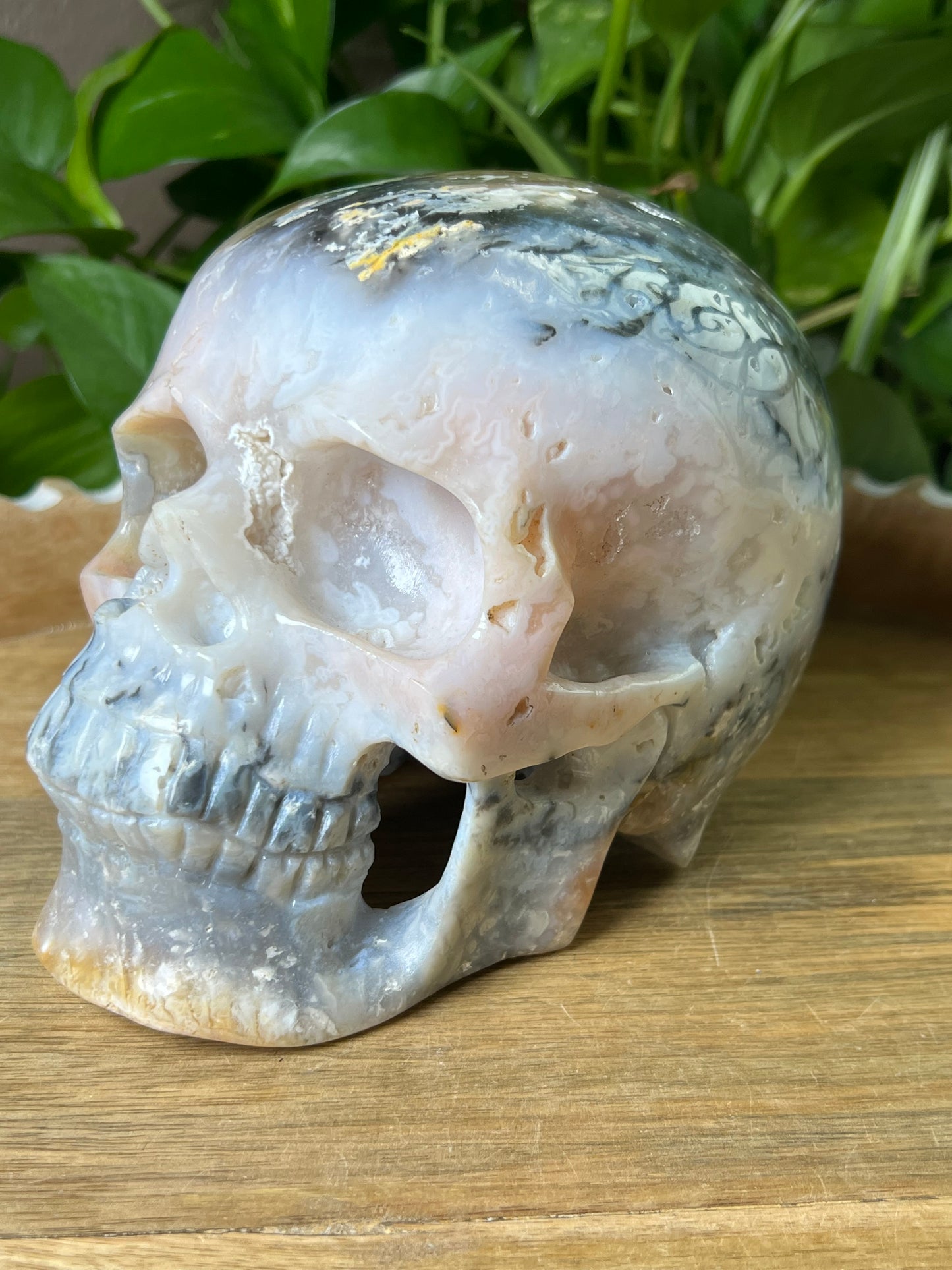 Rainbow Plume Agate Skull
