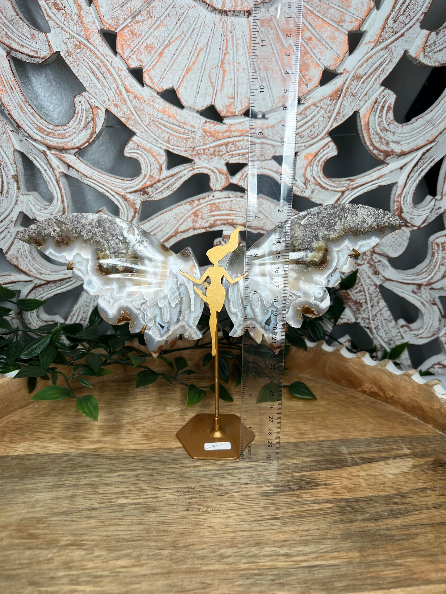 Scenic Moss Agate Wings