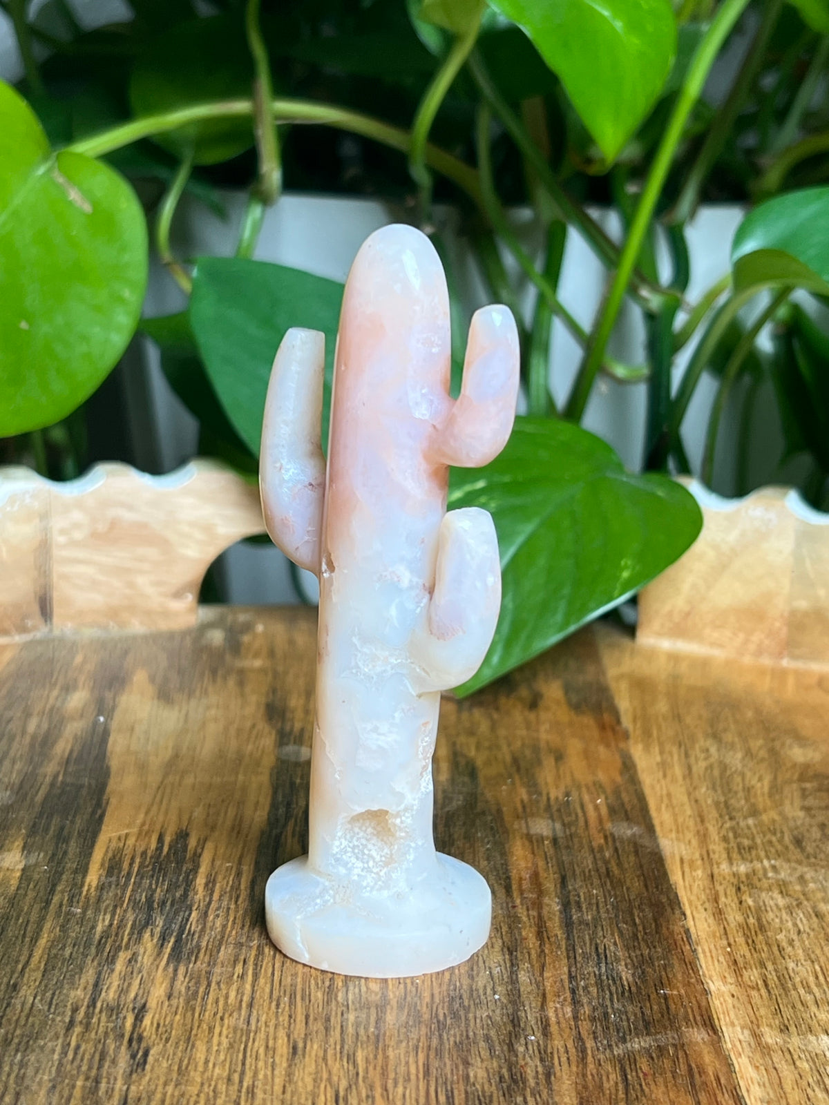 Pink Carnelian Cactus: BA