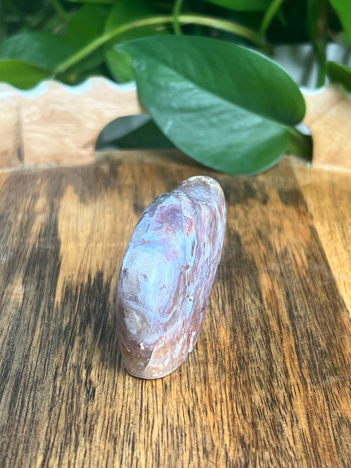 Sumatra Plume Agate Mini Buffalo: DE