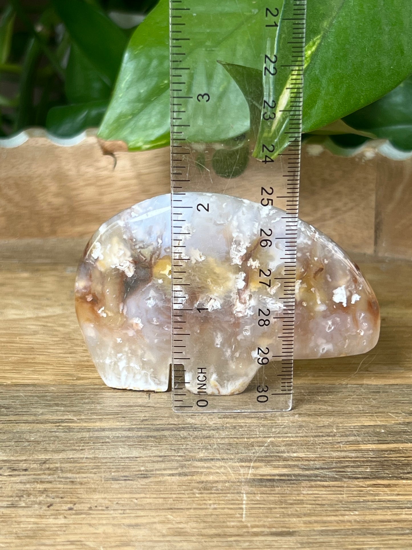 Rainbow Plume Agate Bear