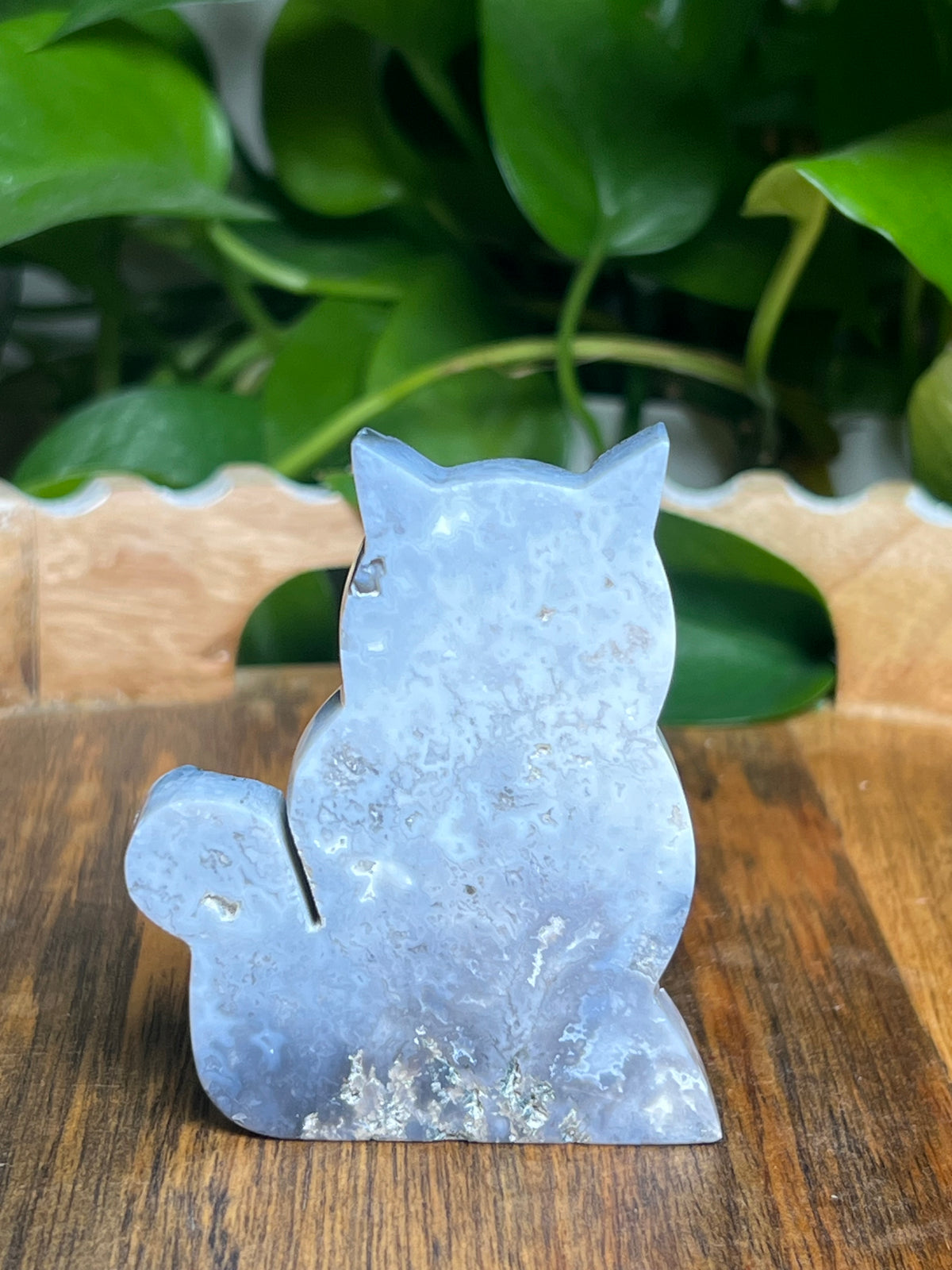 Blue Plume Agate Cat: BF