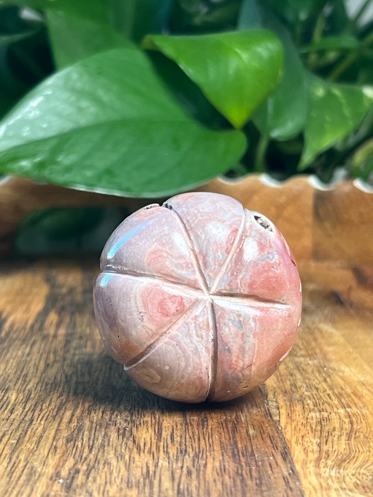 Pink Polycrome Pumpkin: B